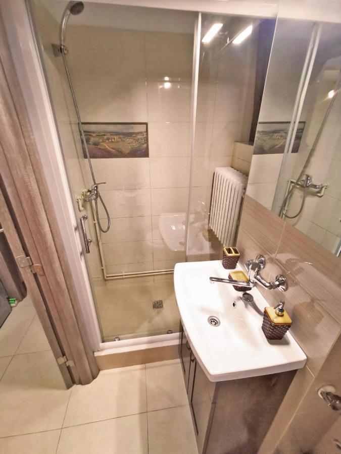 Cozy Apartment Sala Palatului Bukurešť Exteriér fotografie